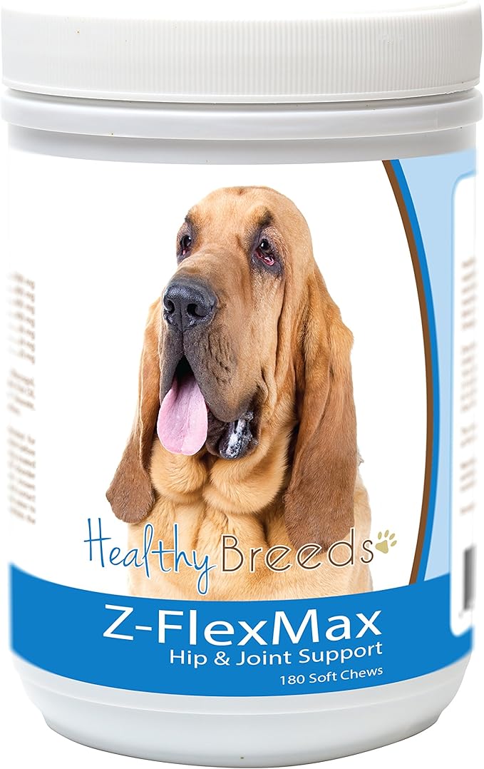 Bloodhound