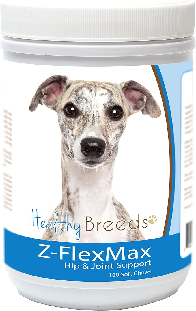 Whippet