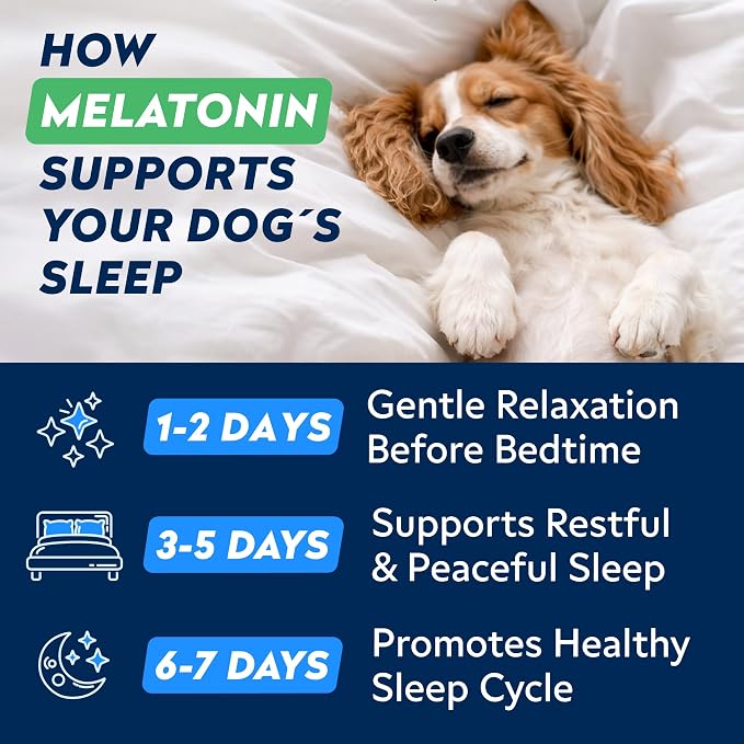 Melatonin Sleep Chews
