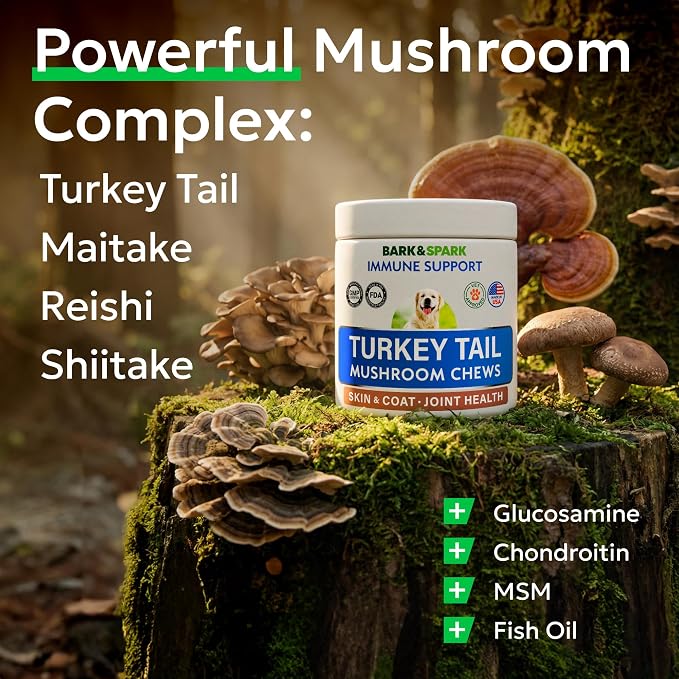 Turkey Tail Mushroom + Glucosamine