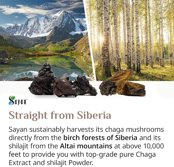 Chaga Extract + Shilajit