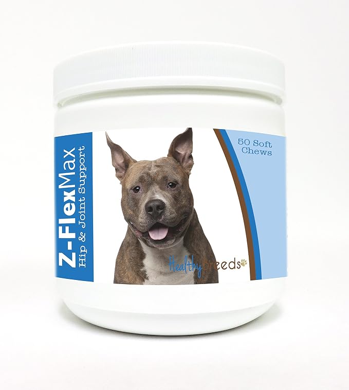 American Staffordshire Terrier