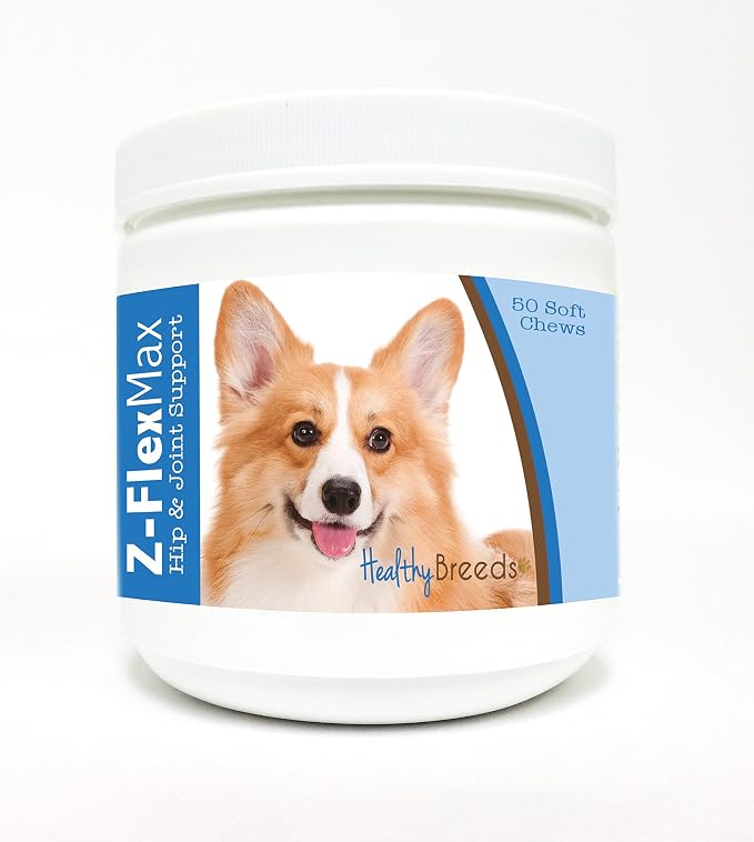 Pembroke Welsh Corgi
