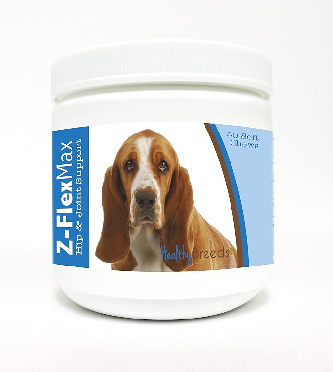 Basset Hound