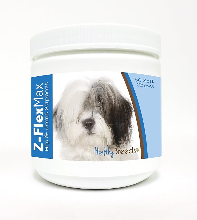 Old English Sheepdog
