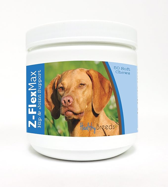 Vizsla