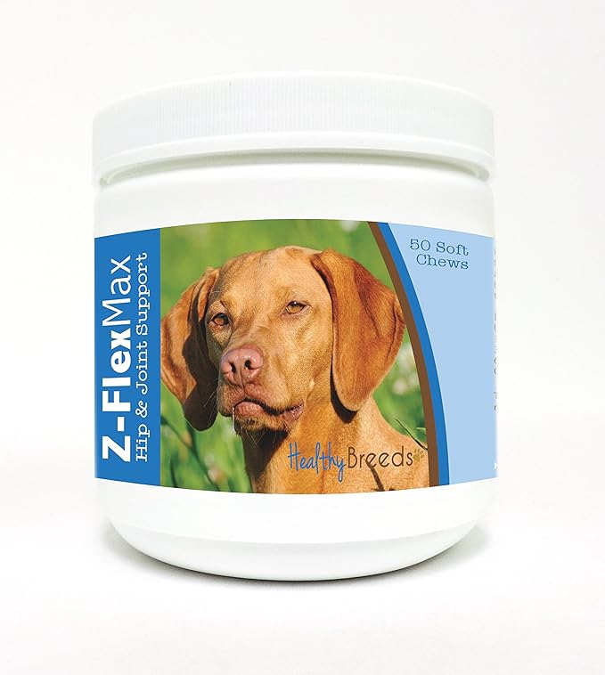 Vizsla