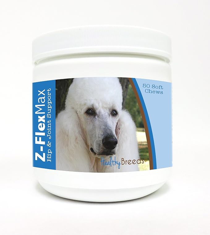 Poodle, White