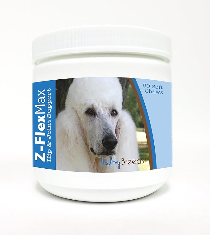 Poodle, White