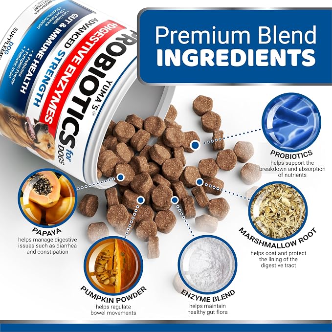 Probiotic Chews
