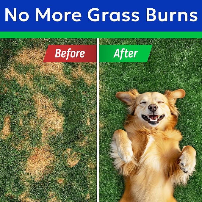 Green Grass